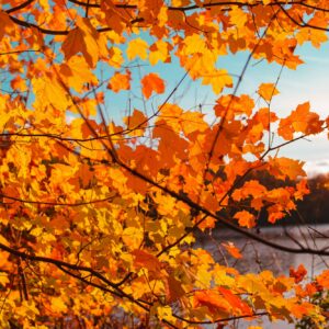 3 Ways to Maintain Your Workout Momentum through the Fall